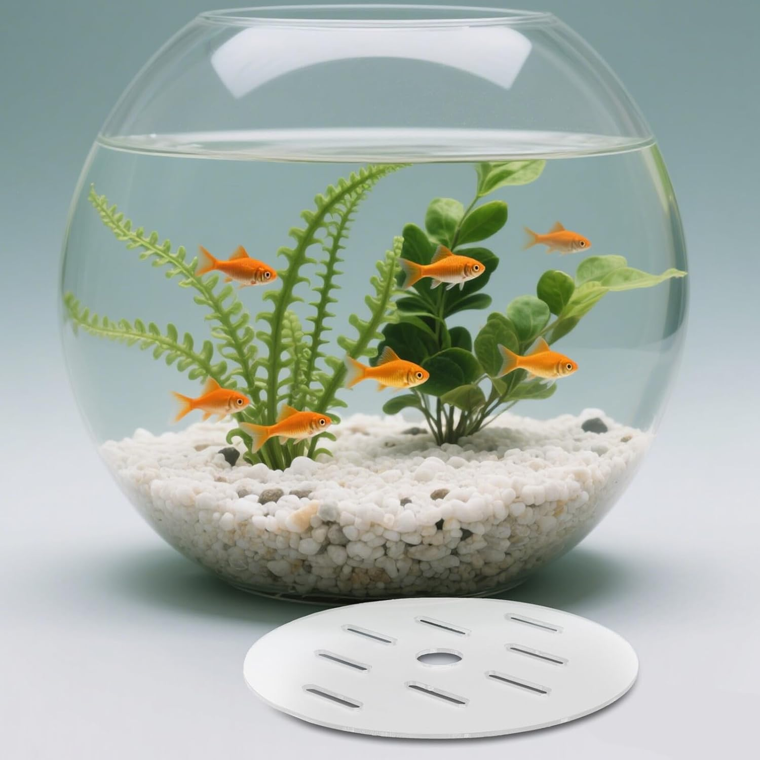 DINHEAROM Transparent Acrylic Fish Tank Lid Cover round Aquarium Escape Terrarium Cover with Easy Setup and Anti-Jumping Function for Secure Aquatic Pet Safety image number 5
