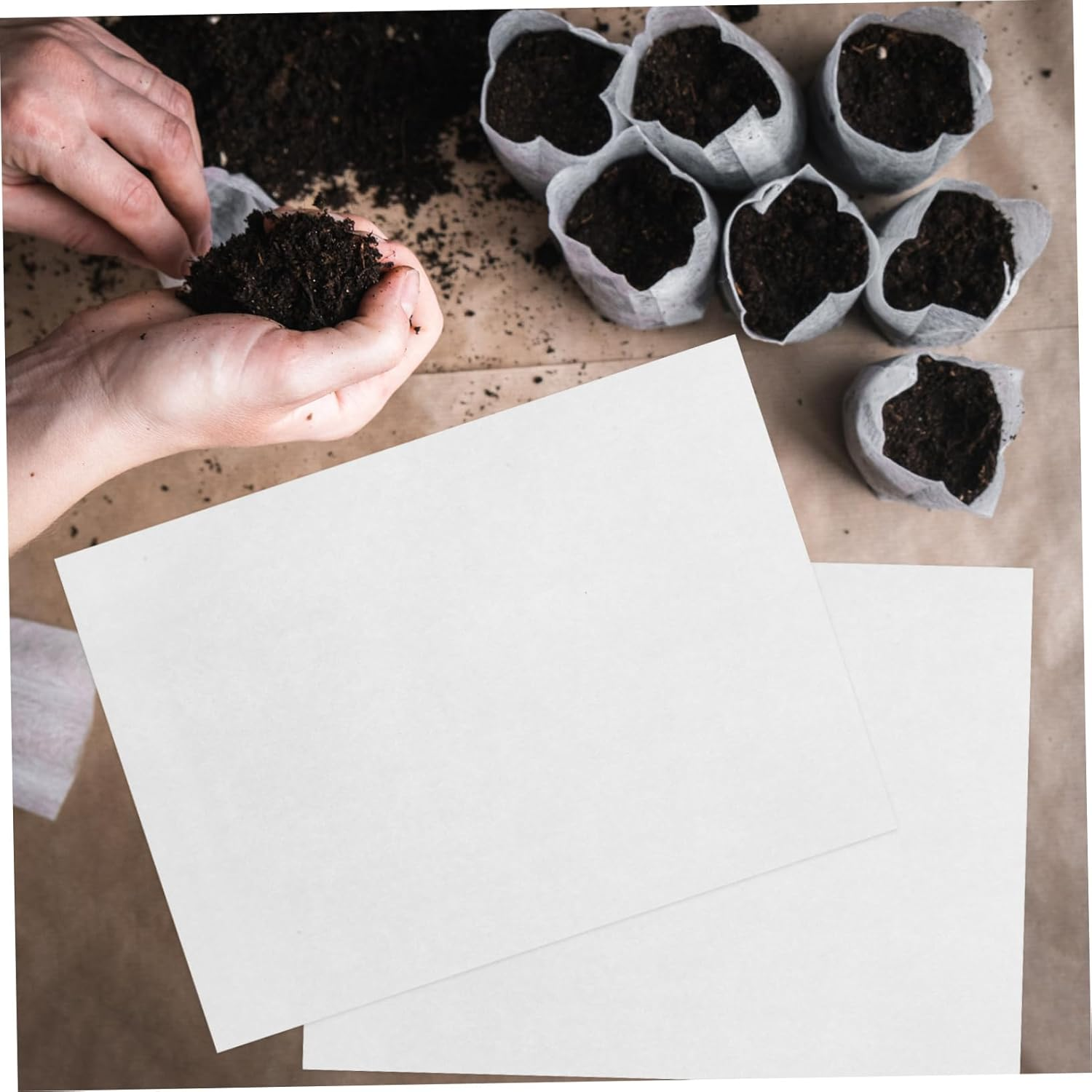 CIYODO 200Pcs Germinating Paper Sprout Plate for Vegetable Growing Garden Seedling Tray Paper 19Cm&times;27Cm Soilless Cultivation Planting for Nursery and Farm Use image number 3