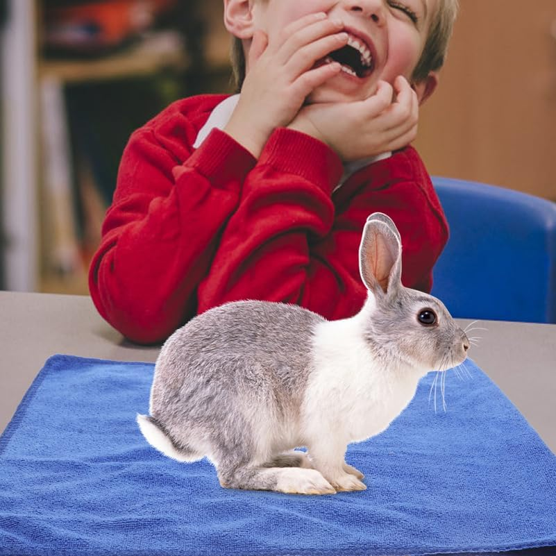 Homoyoyo 5-Pack Washable Small Animal Blanket for Guinea Pigs and Hamsters - Soft Microfiber Pet Bedding Waterproof Cage Liner Comfortable Sleeping Pad for Cage Use image number 3