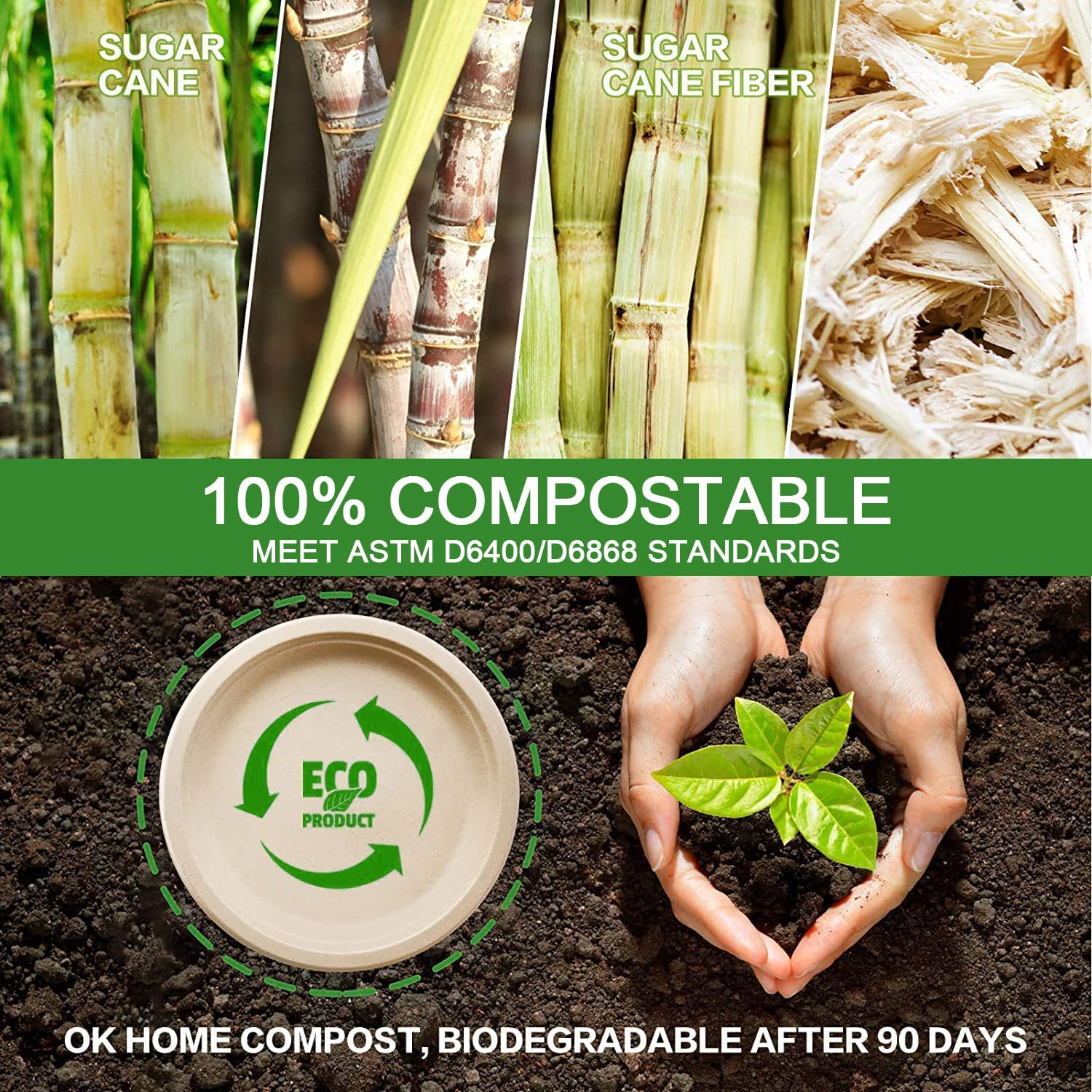 23 Cm Paper Plates, 125 Pack Disposable Plate, 100% Compostable Lunch or Dinner Size Biodegradable Plate image number 6