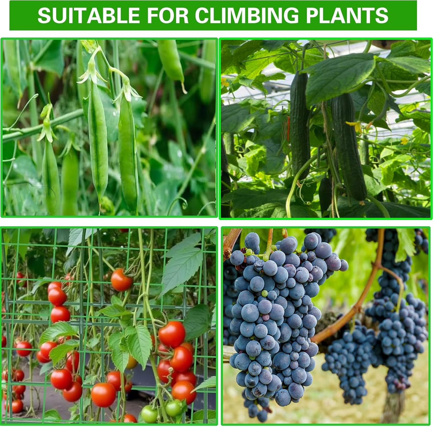 Cucumber Trellis,Garden Trellis for Climbing Plants,63" X 47" Metal Detachable Arch Trellis with Netting for Vegetables, Plant Support for Tomato,Pea,Zucchini,Squash image number 5