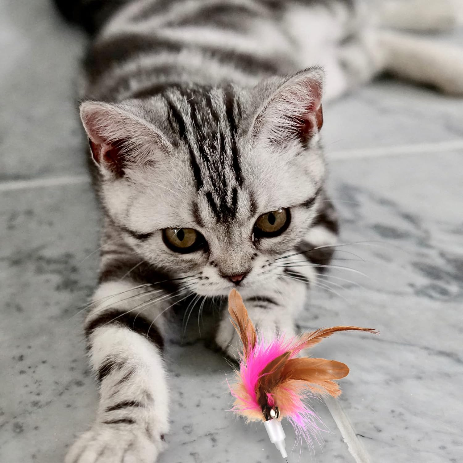 Cat Teaser Toy, Cat Wand Toy Retractable Cat Feather Toys with Silicone Collar Interactive Cat Toys for Indoor Cat Kitten Exercise (Blue, Pink) image number 2