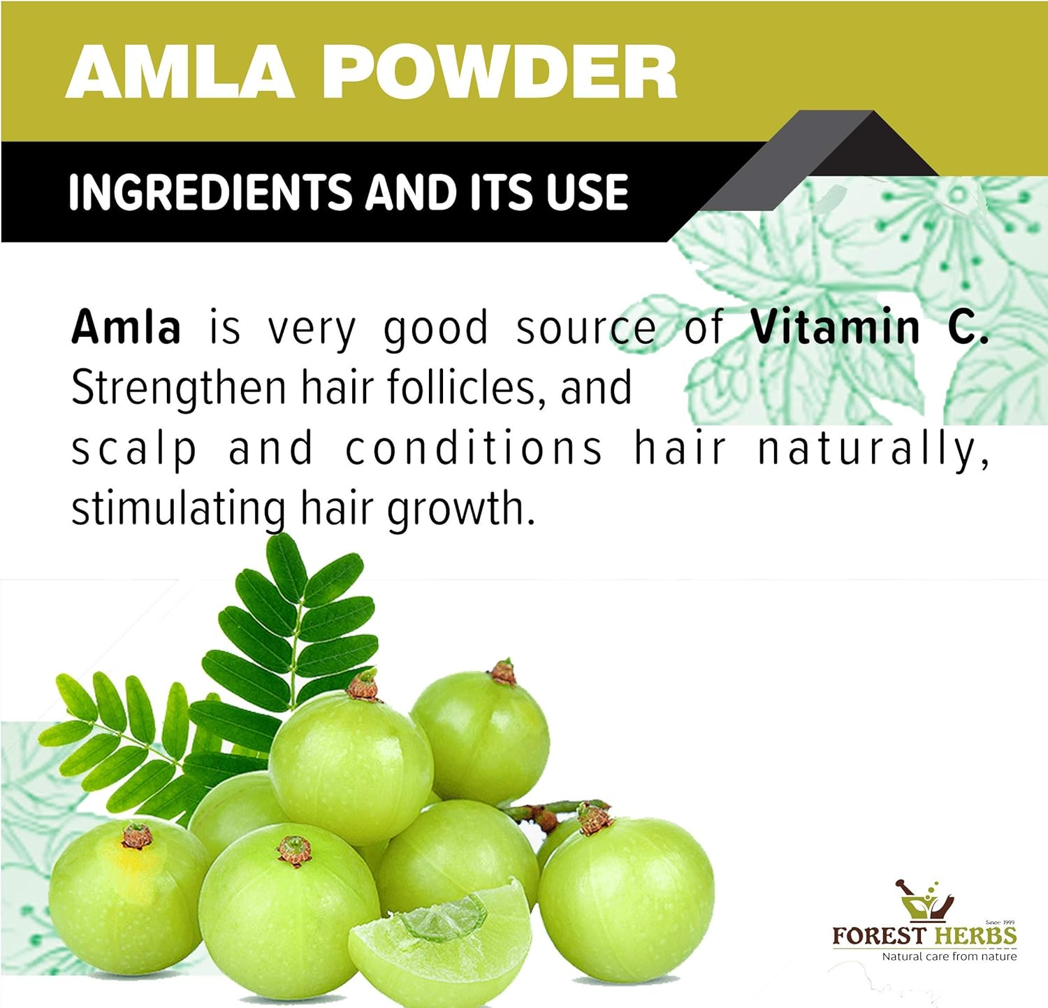 Forest Herbs 100% Natural Organic Amla Powder for Hair Growth - 100 Grams image number 2
