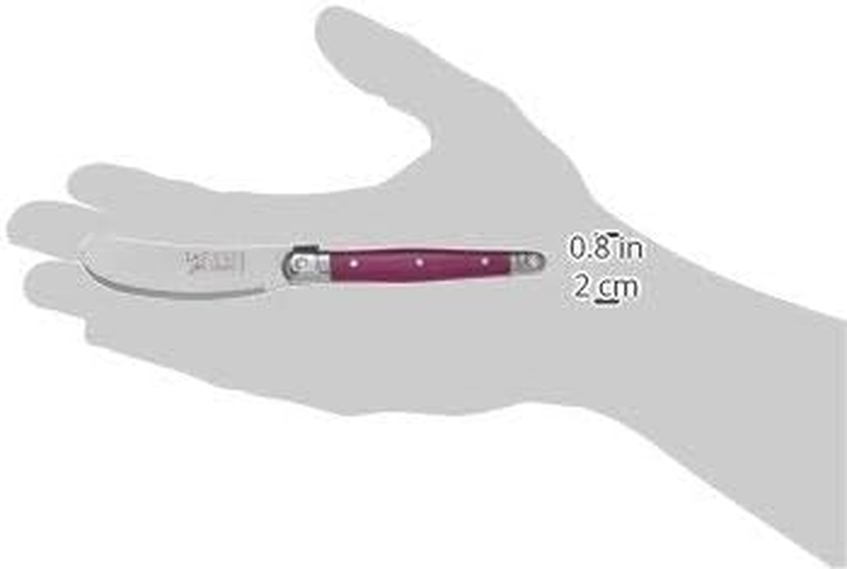 Jean Dubost Laguiole 97455 Box of 4 Breakfast Knives ABS Assorted Colours image number 5