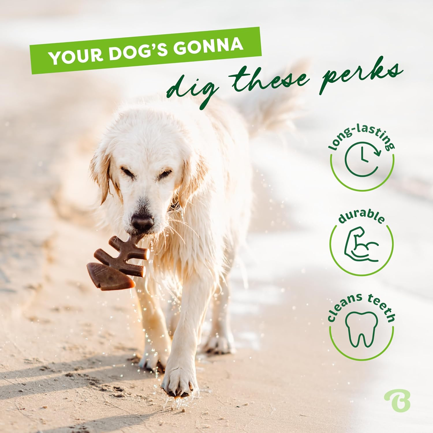 Benebone Fishbone Medium image number 1