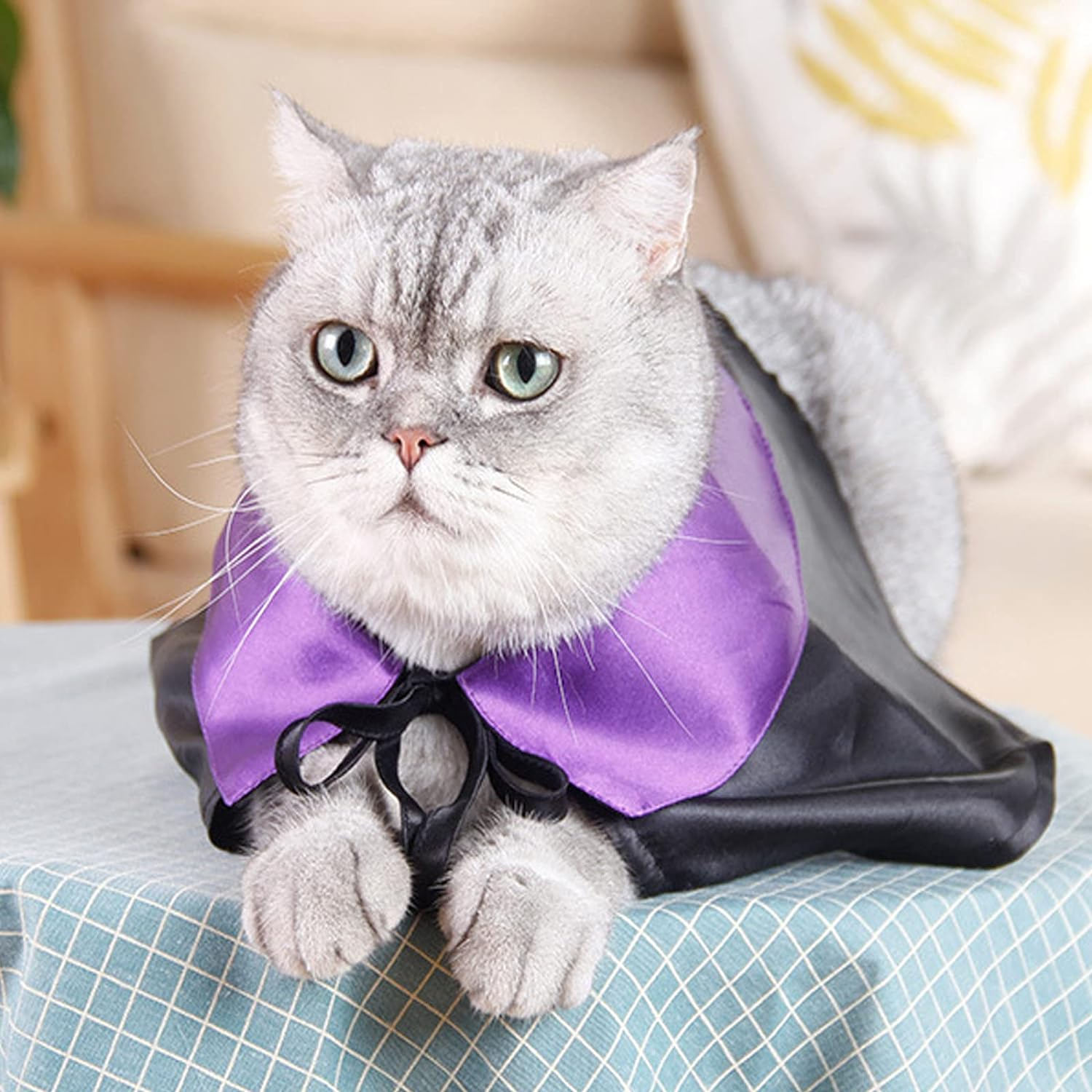 Halloween Pet Cloak Witch Hat Witch Cloak Costume for Small Dogs and Cats Halloween Clothes (L)