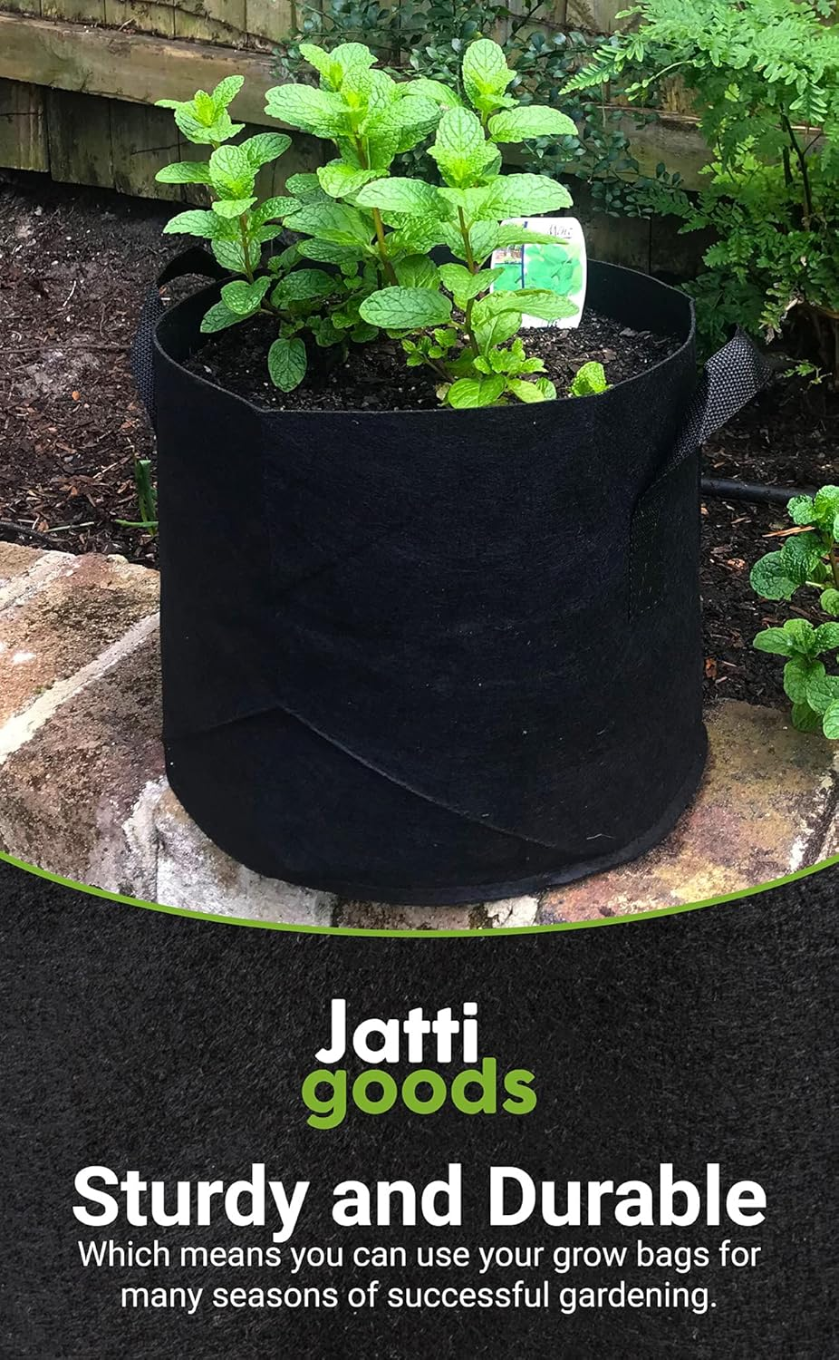 6 Pack, 10 Gallon Plant Grow Bags 38 Litre, Heavy Duty 300G Breathable Plant Fabric Plant Pots with Reinforced Handles image number 6