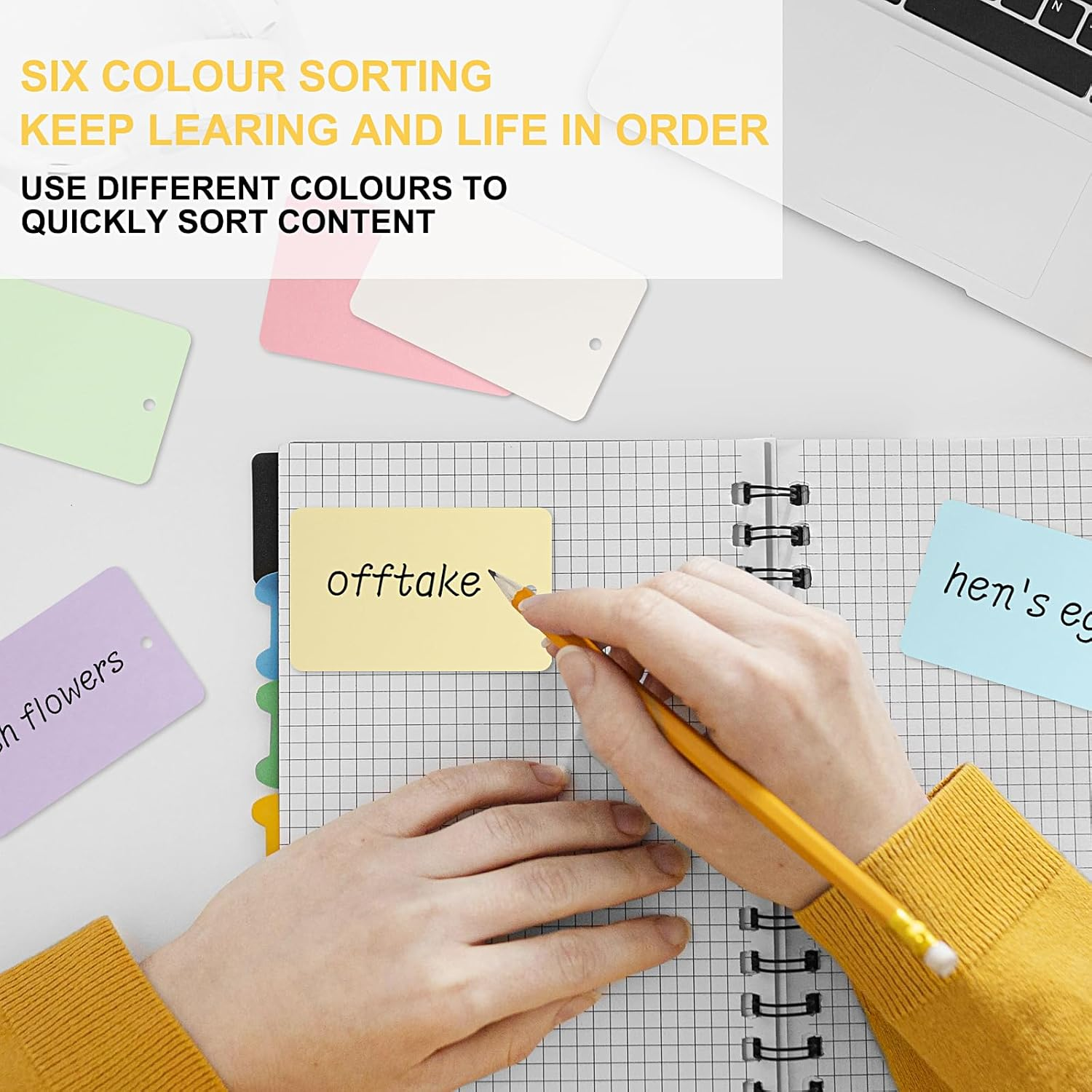 ZTOWOTO 300 Blank Index Cards with Rings &ndash; Thick Flash Cards 3.2X2.1In, Portable Notecards Easy Flip，Memo Pads Revision Cards for Study/Office/Note-Taking/Language Learning(6 Color) image number 3