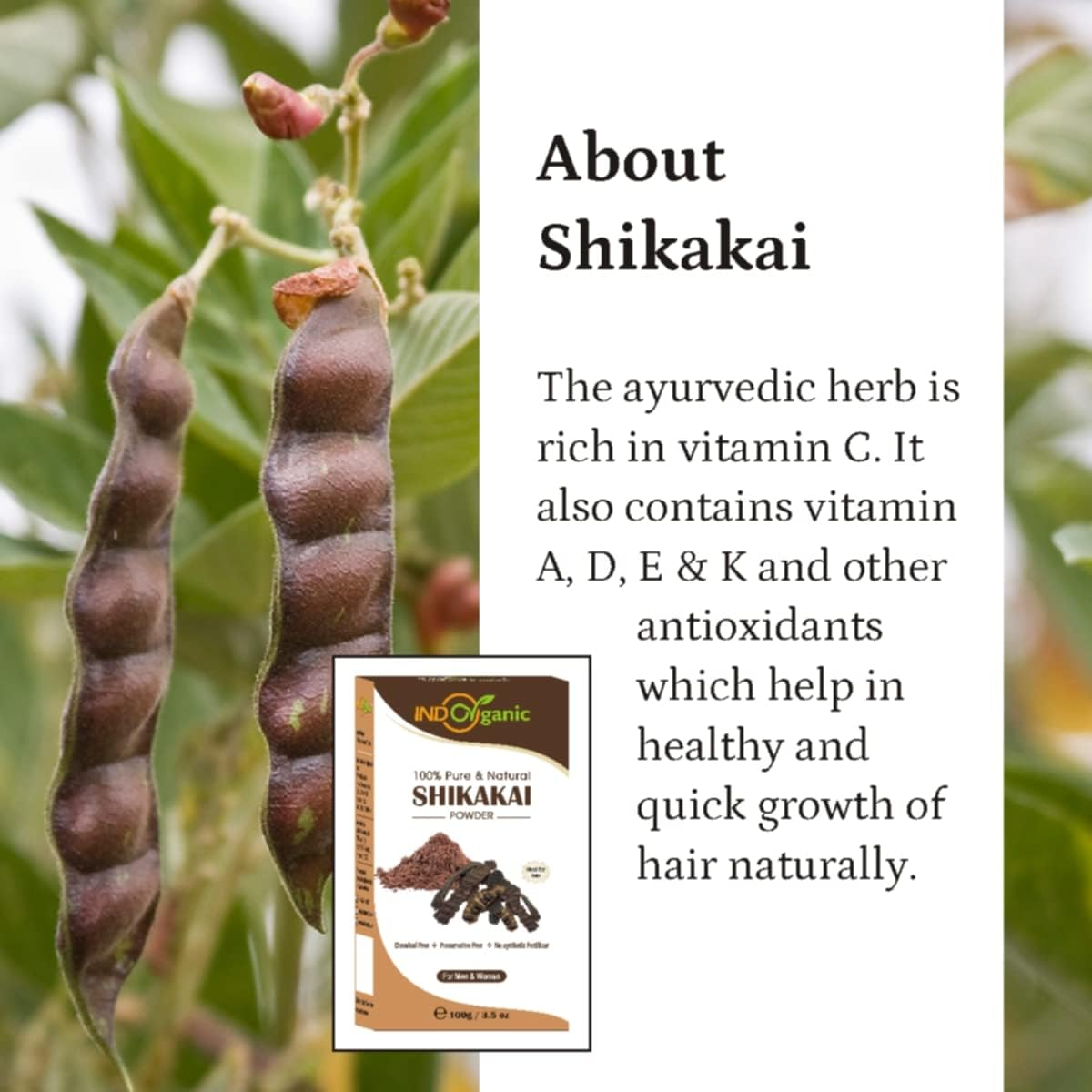 Indo Organic Shikakai (Acacia Concinna) Powder for Hair Pack | Excellent Hair Conditioner & Cleanser image number 4