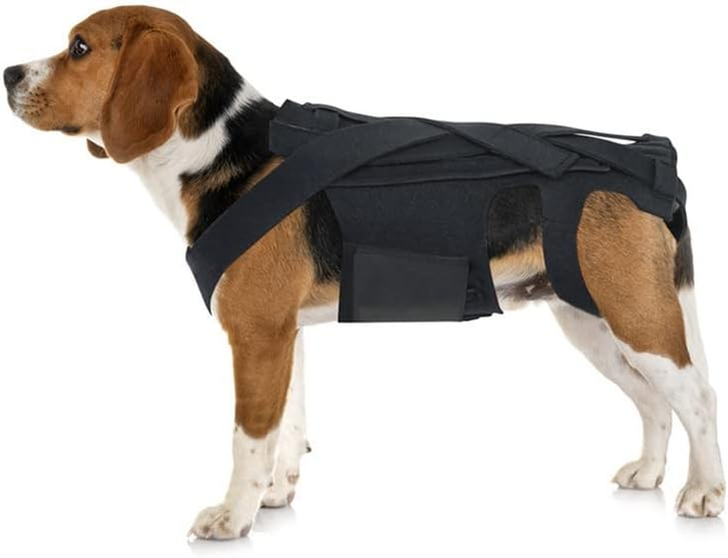 Dog Back Brace for IVDD, Back Brace Comfortable Full Body Harness Dog Clothing Dog Back Protector -L