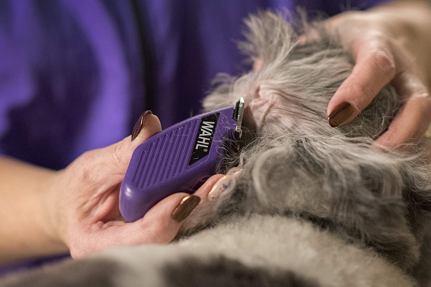 Wahl Professional Animal Pocket Pro Equine Compact Horse Trimmer and Grooming Kit, Purple (#9861-930) image number 6