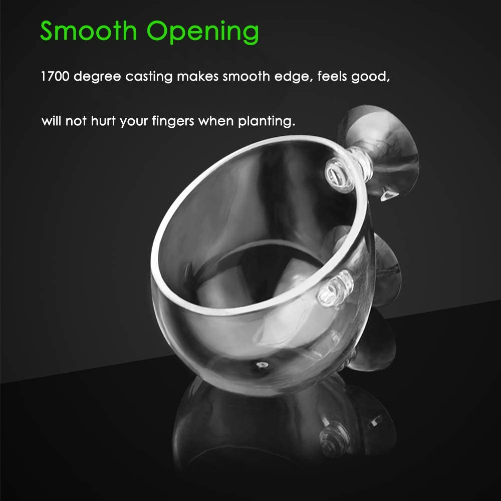 Capetsma 2X Crystal Glass Aquatic Plant Pot, Aquarium Aquatic Planter, Red Shrimp Live Plants Fish Tank Glass Holder with 4X Suction Cups for Aquarium Aquascape Decoration image number 4