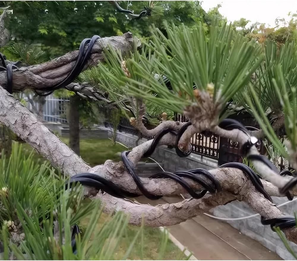 1 Pack Premium 3.0Mm Anodized Aluminum Bonsai Wire &ndash; Large 10M/32.8Ft Roll &ndash; Black, Durable & Flexible &ndash; Perfect for Bonsai & Plant Shaping, Tree Training, Sculpting & Crafting image number 1