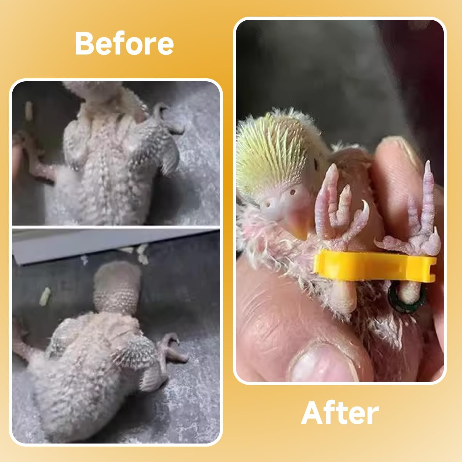 AIRTILY Pack of 9 Yellow Chicken Leg Stands, Plastic Double Foot Corrector, Creative Bird Support Clamp, Reusable, Suitable for Bird Chicks image number 1