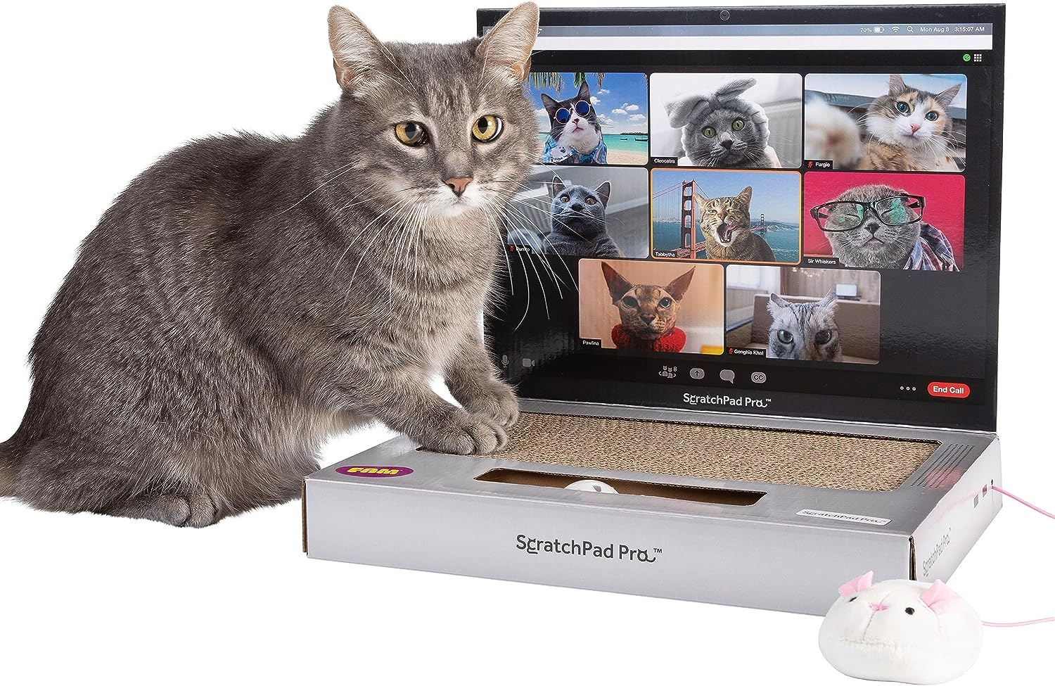 Scratchpad Pro &mdash; Cardboard Laptop Cat Scratcher