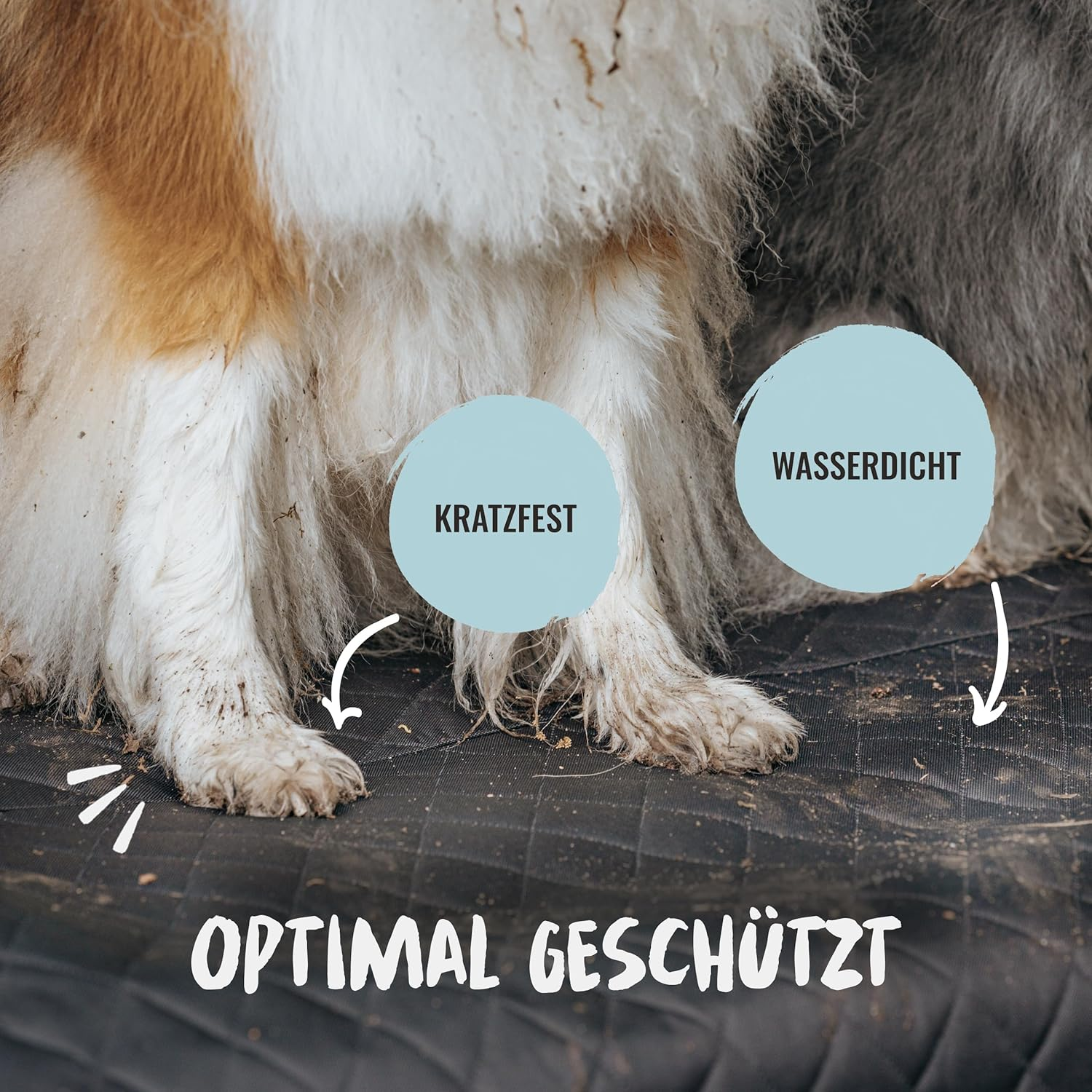 Rudelk&ouml;nig Car Boot Protector Dog with Boot Sill Protection - Water-Repellent and Scratch-Resistant - Quilted Car Dog Blanket with Bag - Universal Boot Protection Mat for Dogs image number 6