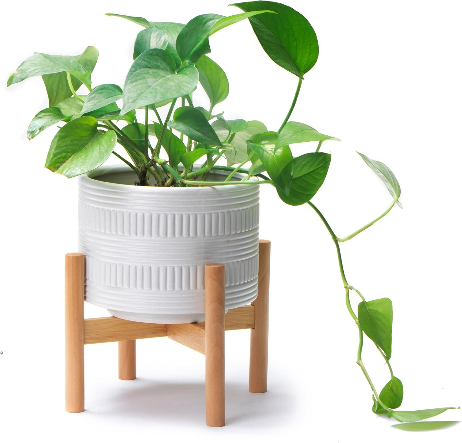 Kurrajong Farmhouse Ceramic Planter Pot with Wood Stand for Indoors (White)