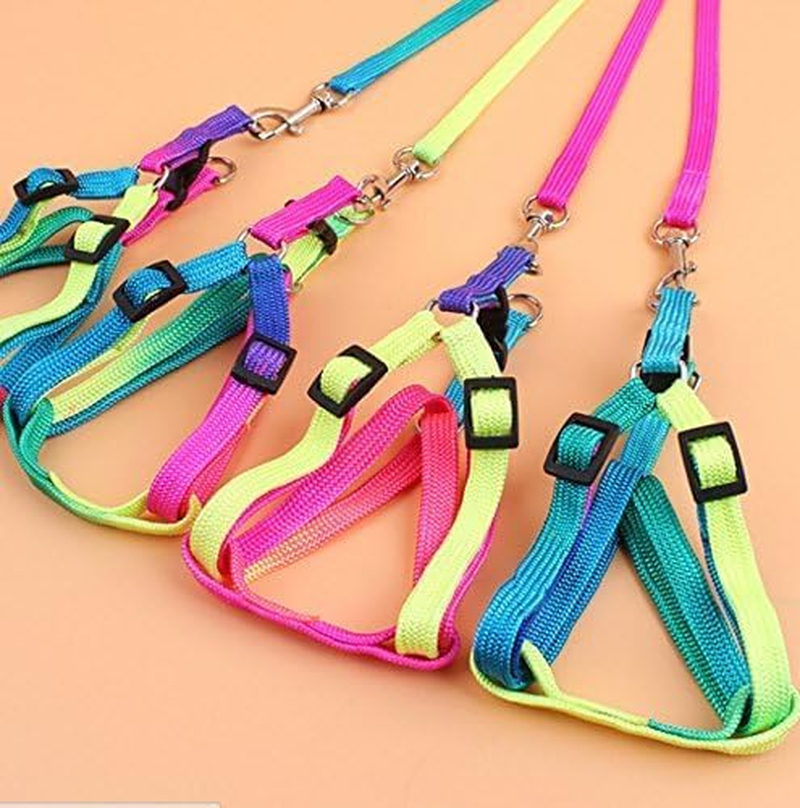 Pet Bird Harness and Leash with Buckle Adorable Rainbow Design Safe Parrot Leash Pet Harness Outdoor Adjustable anti Bite Training Rope for Macaw Large Size Bird (Color, 1.0 * 120CM) image number 4