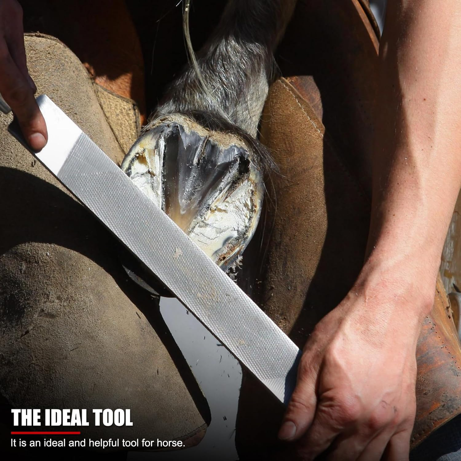 EVTSCAN Horse Hoof Trimming File Knife, Professional High Carbon Steel, Rasp Double Sided Farrier Tool image number 2