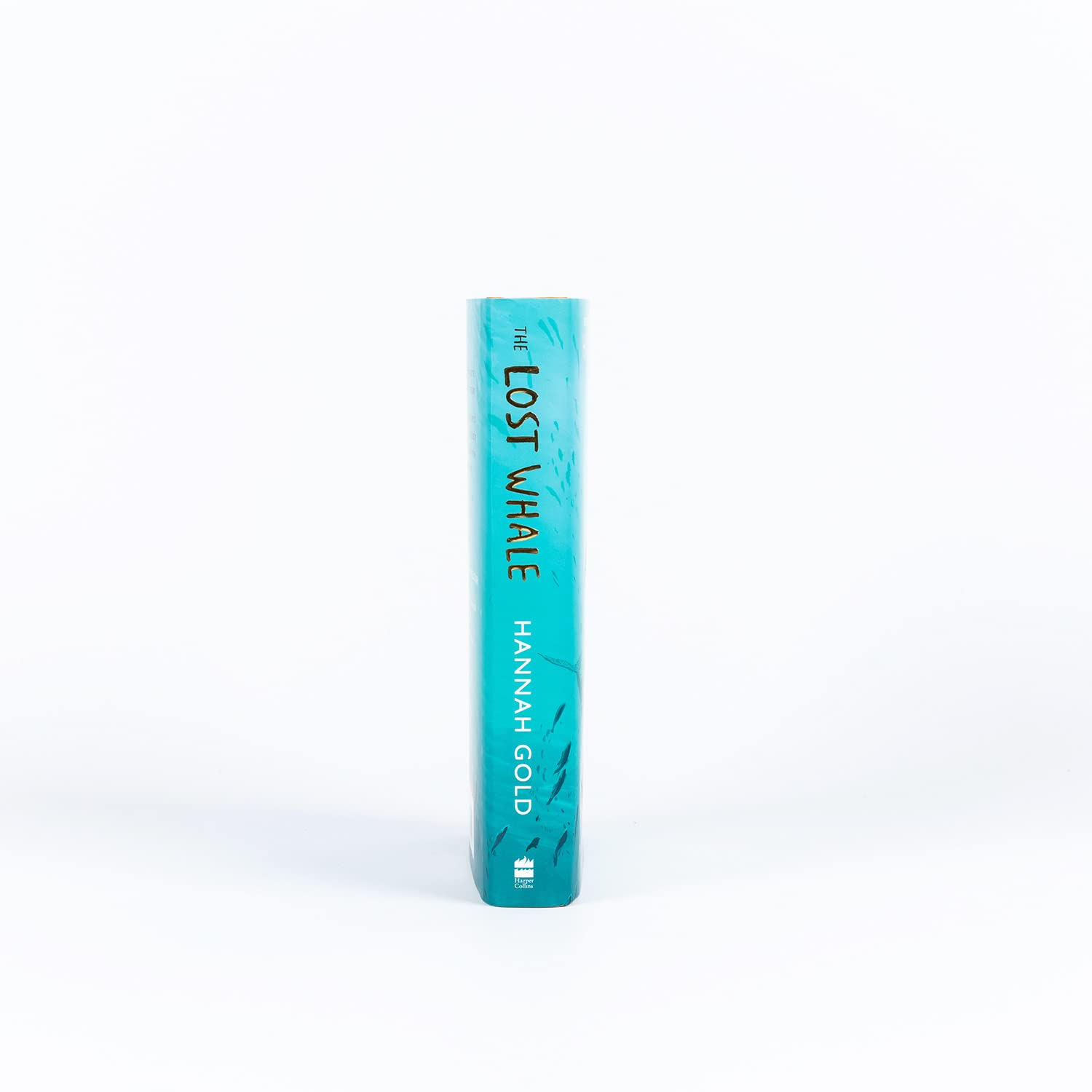 The Lost Whale: a Powerful Animal Adventure Story for Children, from the Bestselling Author of the Last Bear image number 3