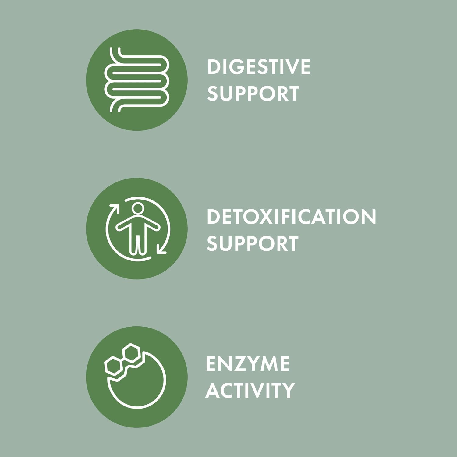 Dr. Mercola Bark & Whiskers Organic Fermented Mushroom Blend - Cat & Dog Supplement - Supports Digestive & Immune Health - Free from Additives, Filler & Gluten - 2.11 Oz. (60 Scoops)