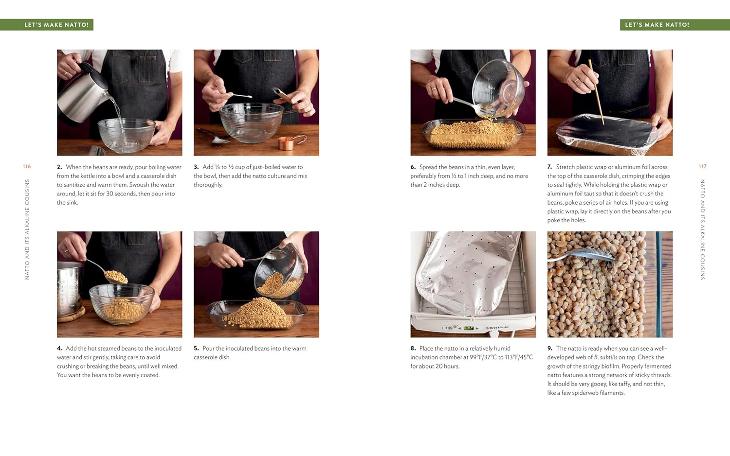 Miso, Tempeh, Natto & Other Tasty Ferments: a Step-By-Step Guide to Fermenting Grains and Beans