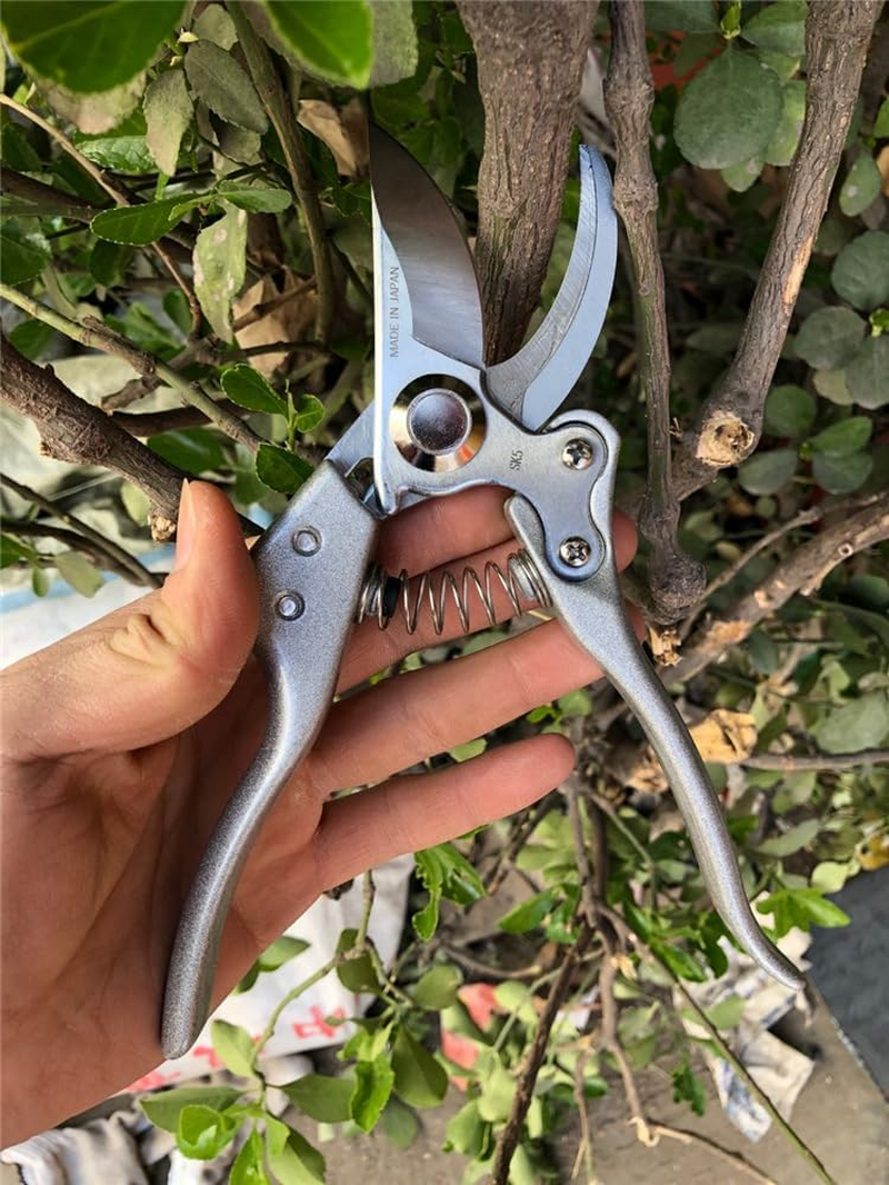 Made in Japan Pruning Shears 8" Professional Bypass Garden Scissors Secateurs, Premium Quality Japanese Gardening Tools Plant Hand Pruner Garden Clippers with Ergonomic Handle, Safety Lock for Farms image number 2