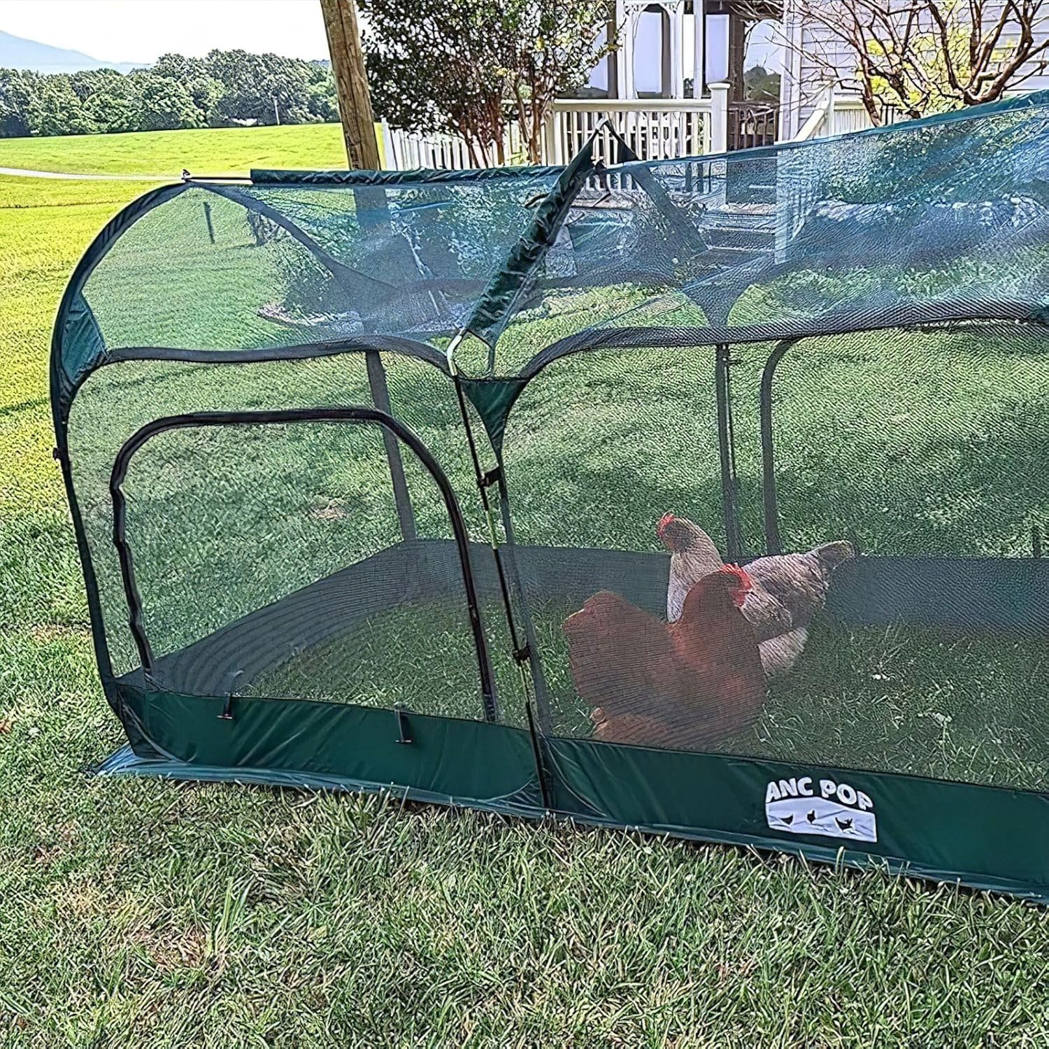 Maze Pop up Chicken Run image number 1