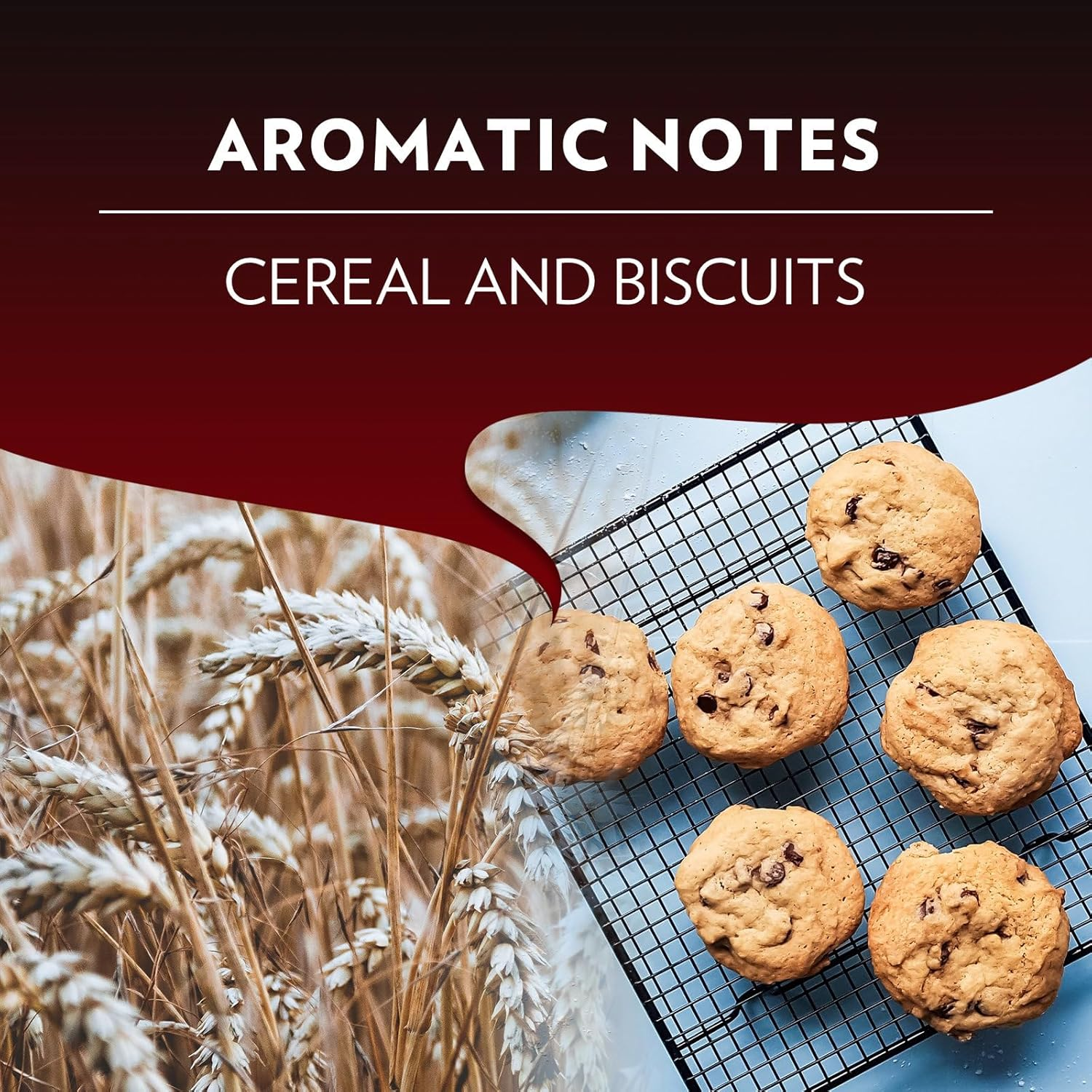 Lavazza, Espresso Maestro Classico, 100 Aluminium Coffee Pods Compatible with Nespresso Original Machines, Cereals & Cookies Notes, 100% Arabica, Intensity 9, Medium-Dark Roast, 10 Packs of 10 Pods image number 5