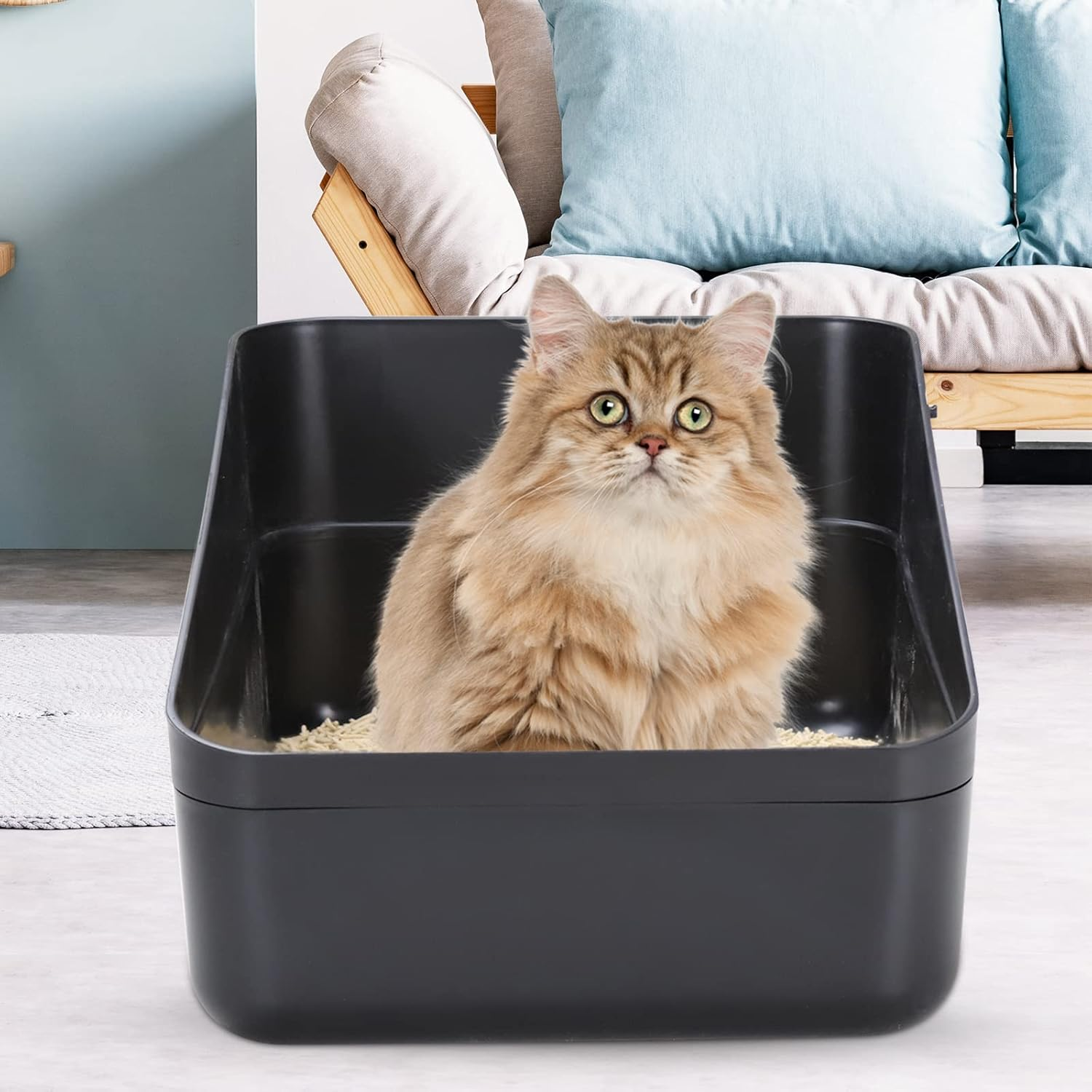 Sfozstra Open Top Litter Box: Black Medium Size with High Sides & anti Leak Design, Easy Clean Litter Pan for Home Cats image number 1