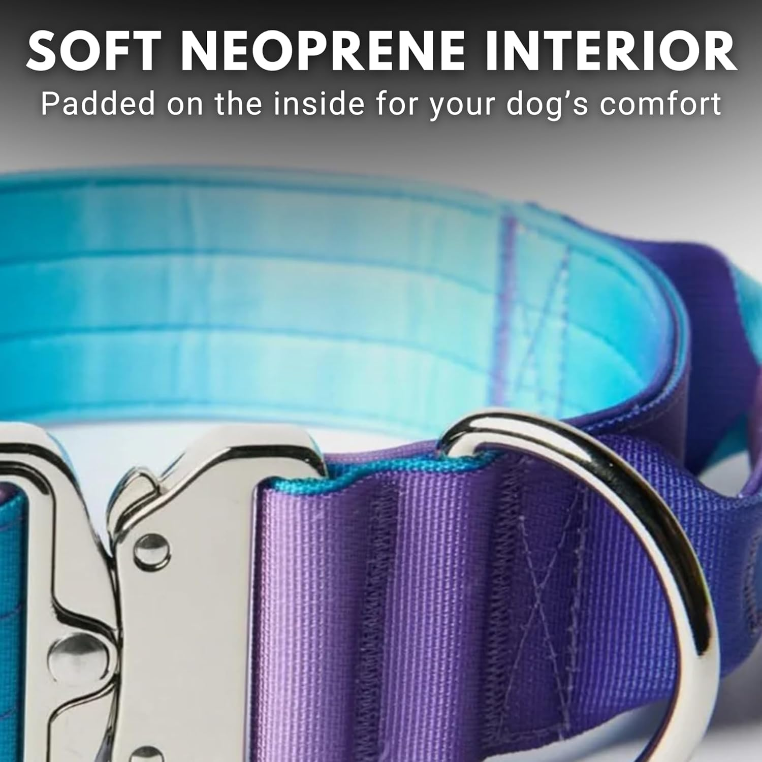 Spark Paws Tactical Dog Collar - Premium Quality Collar for Your Canine Companion - Gradient Blue Purple &ndash; Size S (5Cm) image number 1