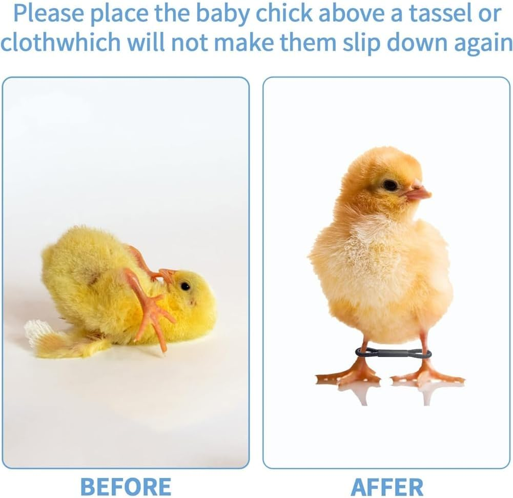 Fulillanlun 100PCS Baby Chicken Splay Leg Hobble Brace Adjustable Poultry Leg Bands for Newborn Spraddle Leg Chick Bird Quails Ducks image number 5