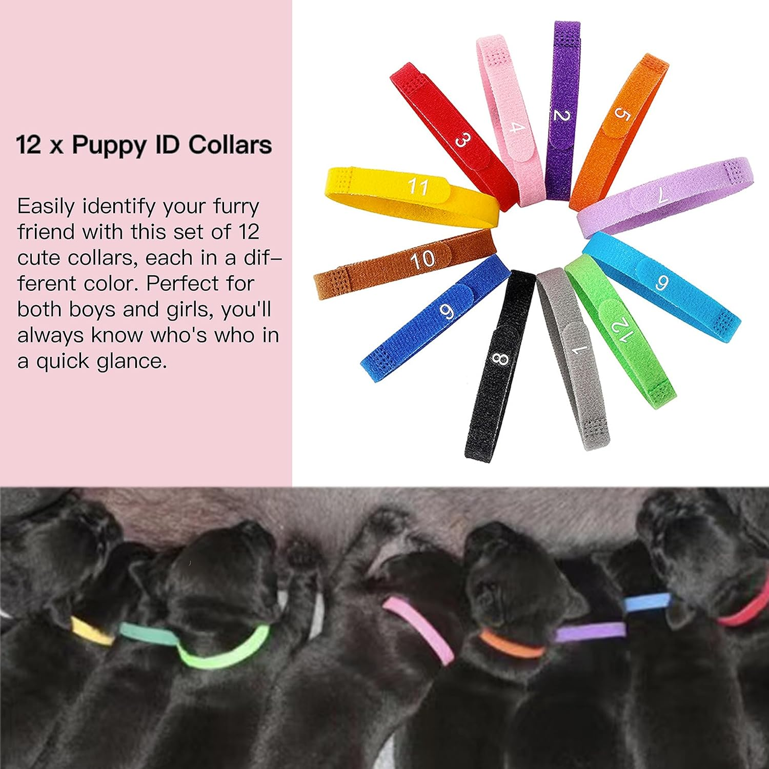 SQUARECIRCLE Complete Dog Whelping Kit with Feeding Nipple, Record Keeping Charts, ID Collars, Aspirator, Cord Clamps & More - Essential for Newborn Puppies (Red No Pad) image number 5