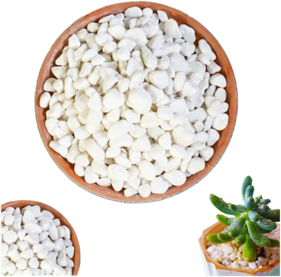 White Pebble, White Pebble Plant, 1-3Cm White Gravel for Indoor Plants, River Rocks Pebbles for Plants, Home DIY Decor, Aquarium Gravel, Vase Fillers, Landscaping Outdoor Stones(1.65 Lb White) image number 1