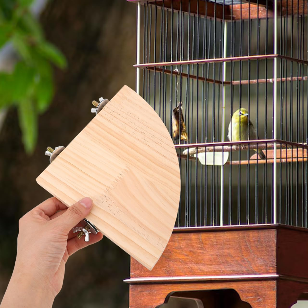 Didiseaon Bird Perch Platform for Parrots Fan Shape Corner Shelf Durable Chew Resistant Stand for Budgies Cockatiels Conures Macaws African Greys Easy Installation image number 6