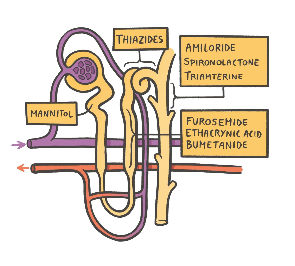 Clinical Pharmacology Made Ridiculously Simple image number 6