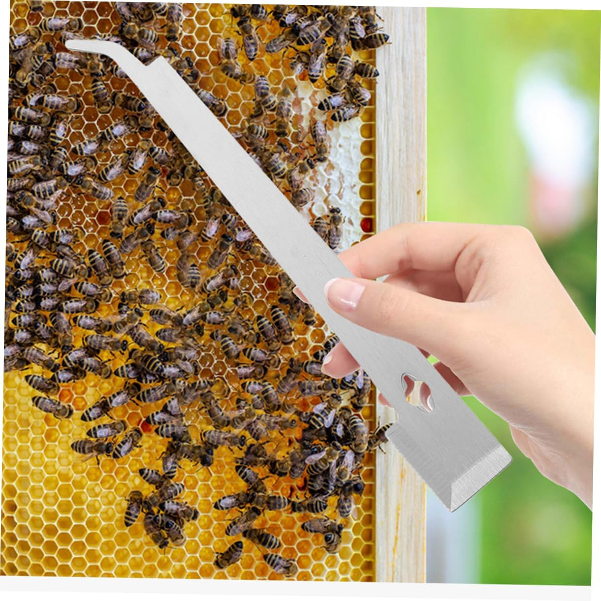 HANABASS 2Pcs Stainless Steel Beehive Scraper for Beekeeping Hive Tool Beehive Box Scrapers