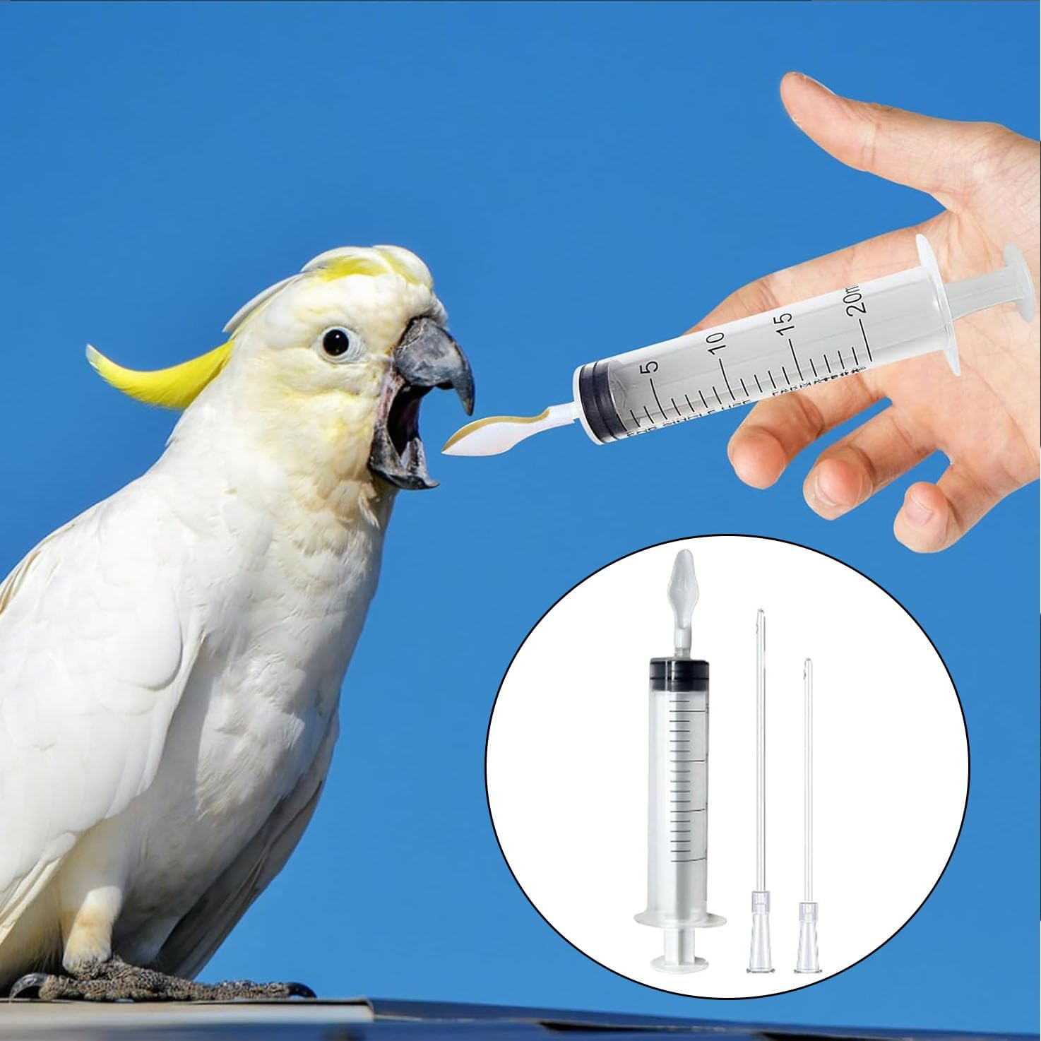 WADY Feeding Syringe for Baby Bird, Parrot, and Sick Birds - Food Grade Silicone Hose Set (8Cm and 12Cm) - Pet Hand Rearing Crop Tubes Feeder image number 1