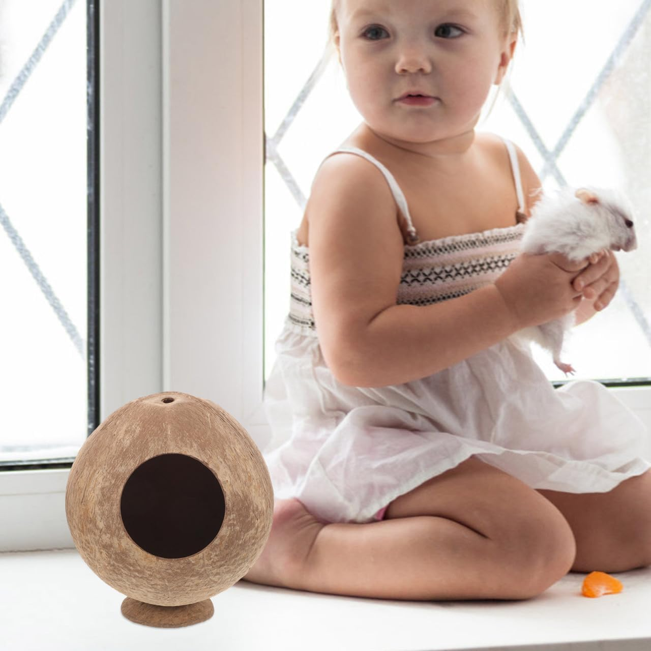 BCOATH Coconut Hamster Hideout Natural Material for Small Animals Wear-Resistant Safe Toy image number 4