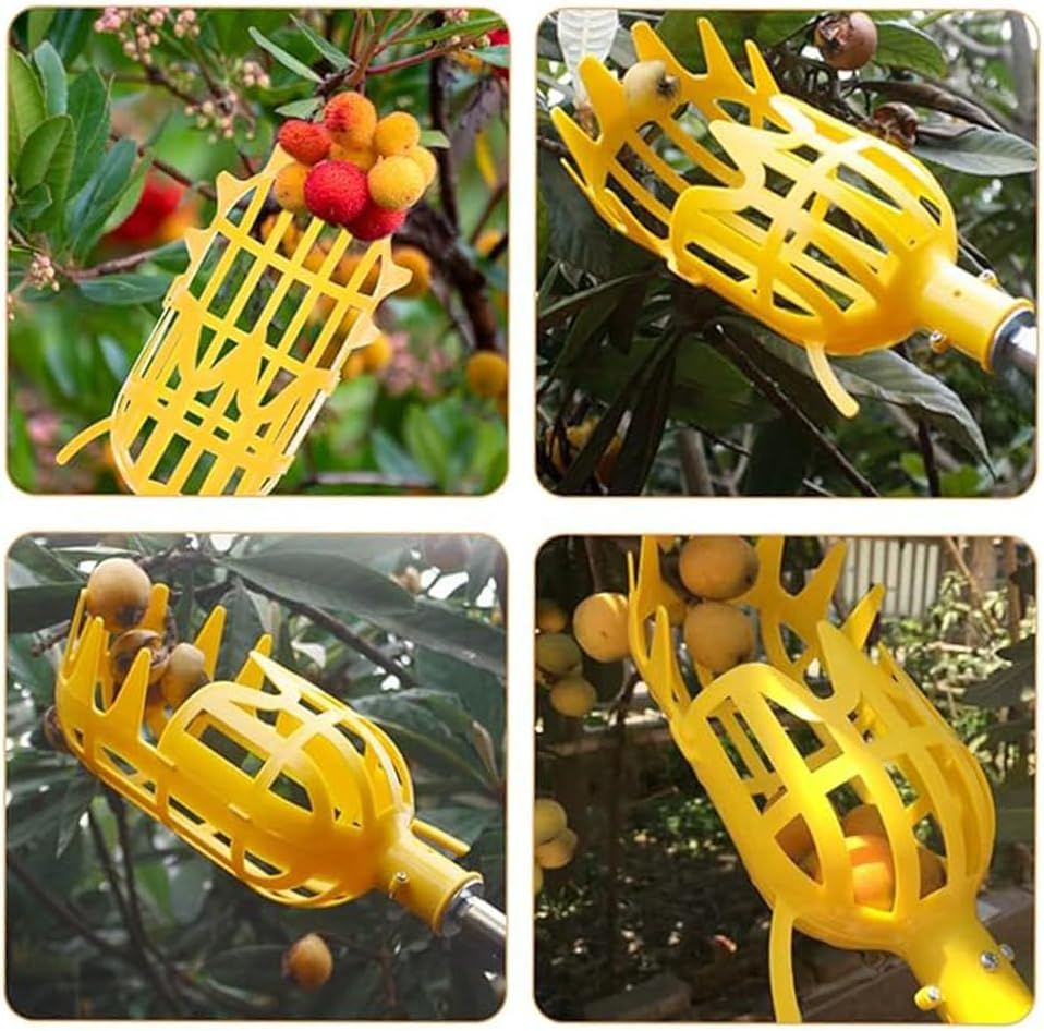 Fruit Picker Tool,Adjustable Extension, Apple Picker Pole with Basket,2M Long Handle, Mango Avocado Pear Pomelo Lemon Picker for Tree,Easy to Assemble & Use,Equipped with a Large Fruit Picker. image number 2