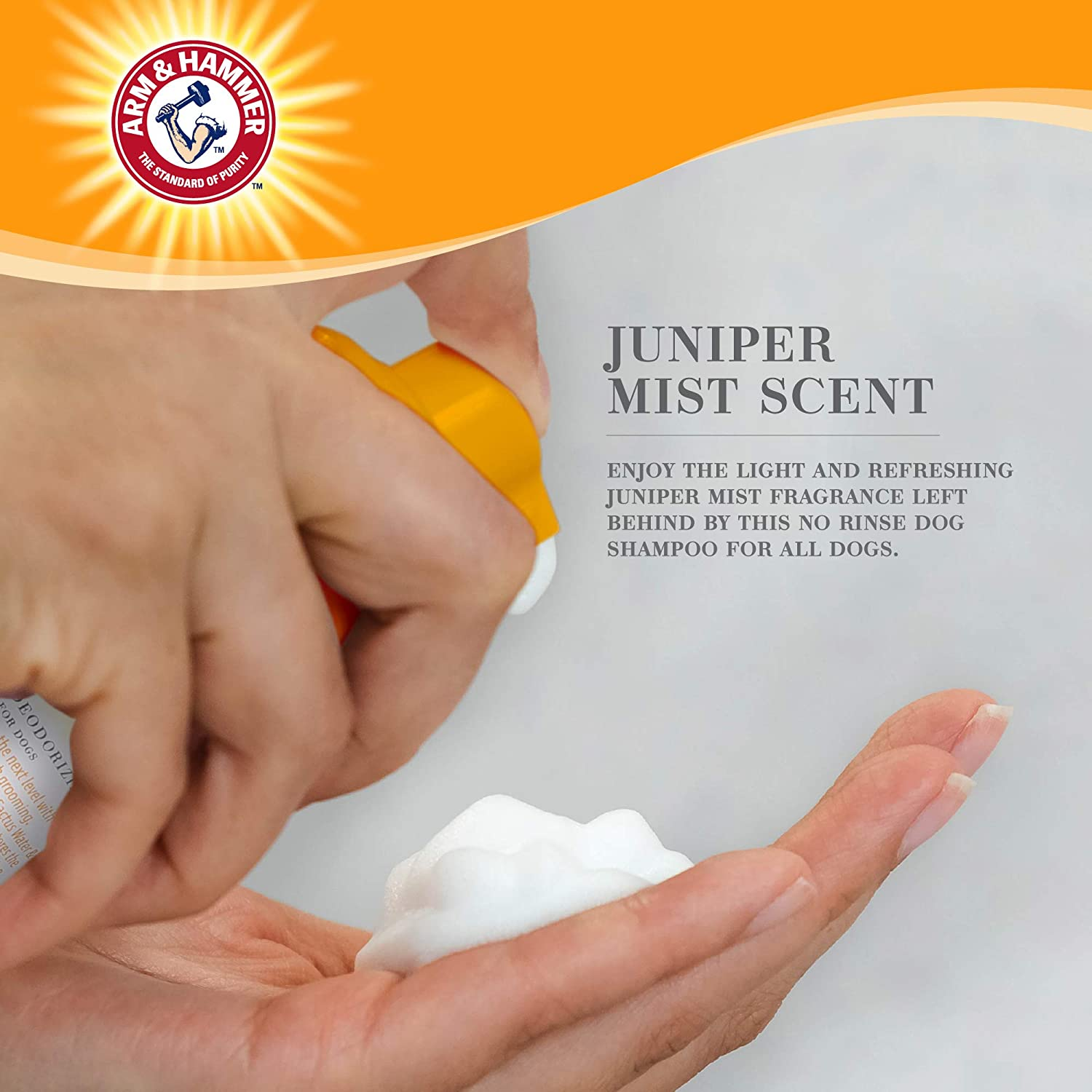 Arm & Hammer Ultra Fresh No-Rinse Deodorizing Foam with Cactus Water & Citrus FF12656, 237 Ml image number 2