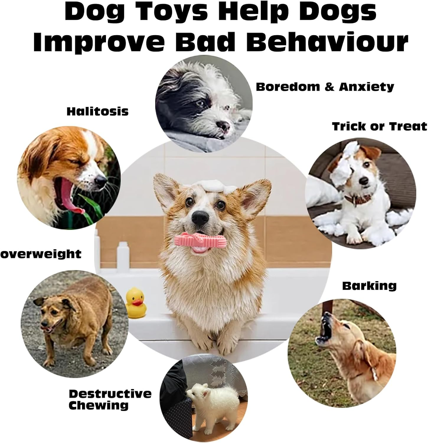 KASESSS Dog Chew Toys, Slipper Shaped Puppy Teething Toys, Interactive Dog Toys for Boredom Indestructible Dog Toys Rubber Puppy Chew Toys for Home and Outdoor Portable Tough Dog Toys image number 4