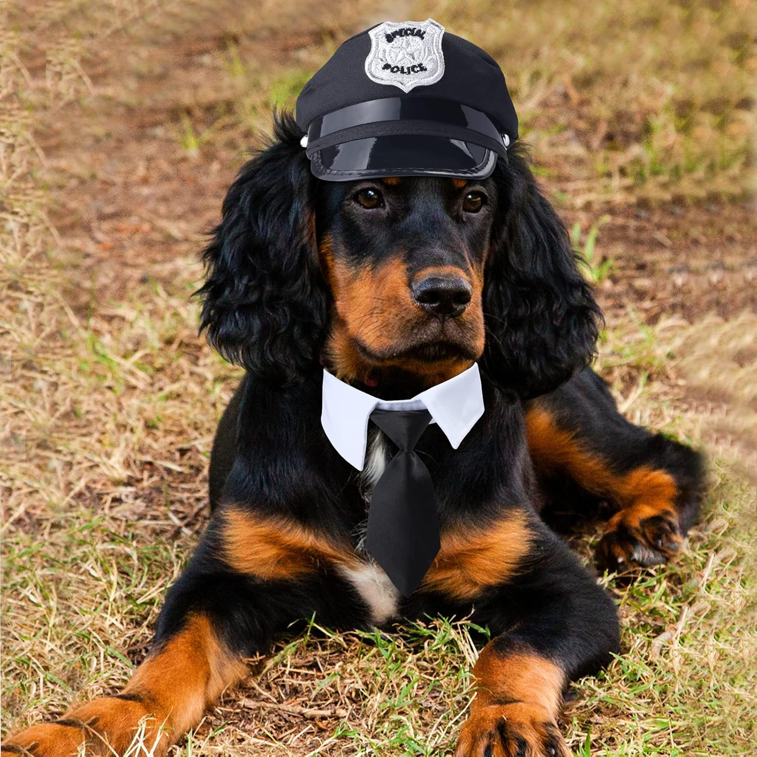 Yewong 2-Piece Pet Police Costume Accessory Set - Dog & Cat Police Hat with Necktie & Dress up Kit for Halloween & Christmas Cosplay image number 3