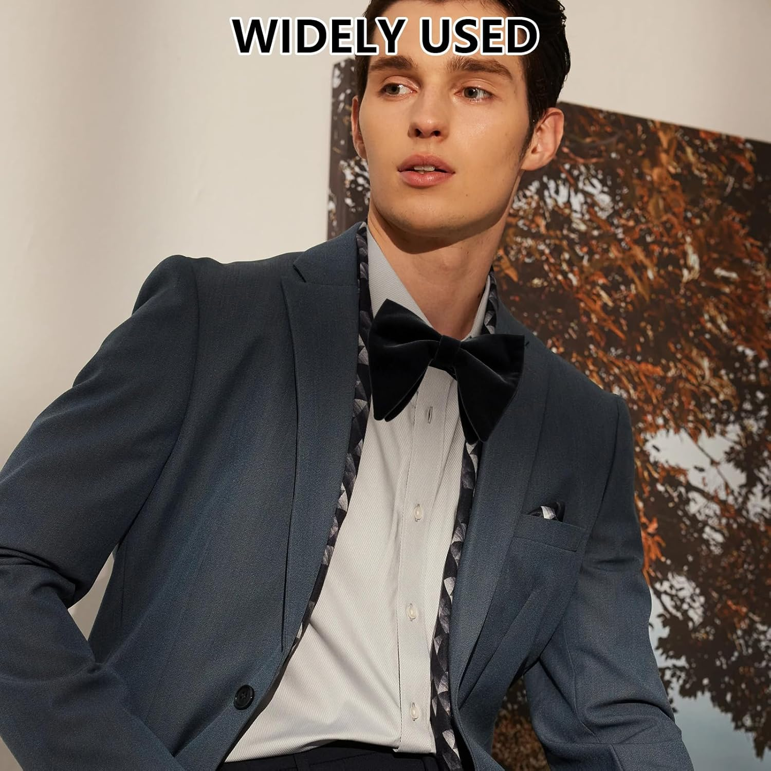 Domicubes Mens Velvet Bow Tie, Oversized Solid Color Pre-Tied Bow Tie Adjustable Formal Tuxedo Butterfly Big Bowtie for Birthday Groom Wedding Party Formal image number 4