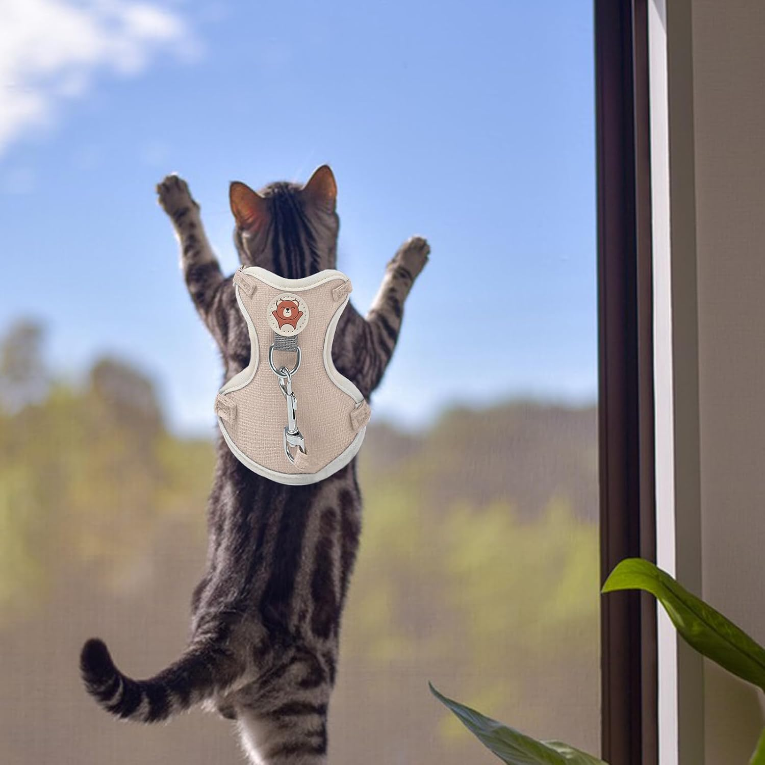 Larfraecy Soft Cat Harness and Lead Set for Walking,Escape Proof Puppy Kitten Vest Harnesses,Adjustable Soft Kitten Harness and Lead Set for Small & Medium Cat Dog (Pink, S) image number 1