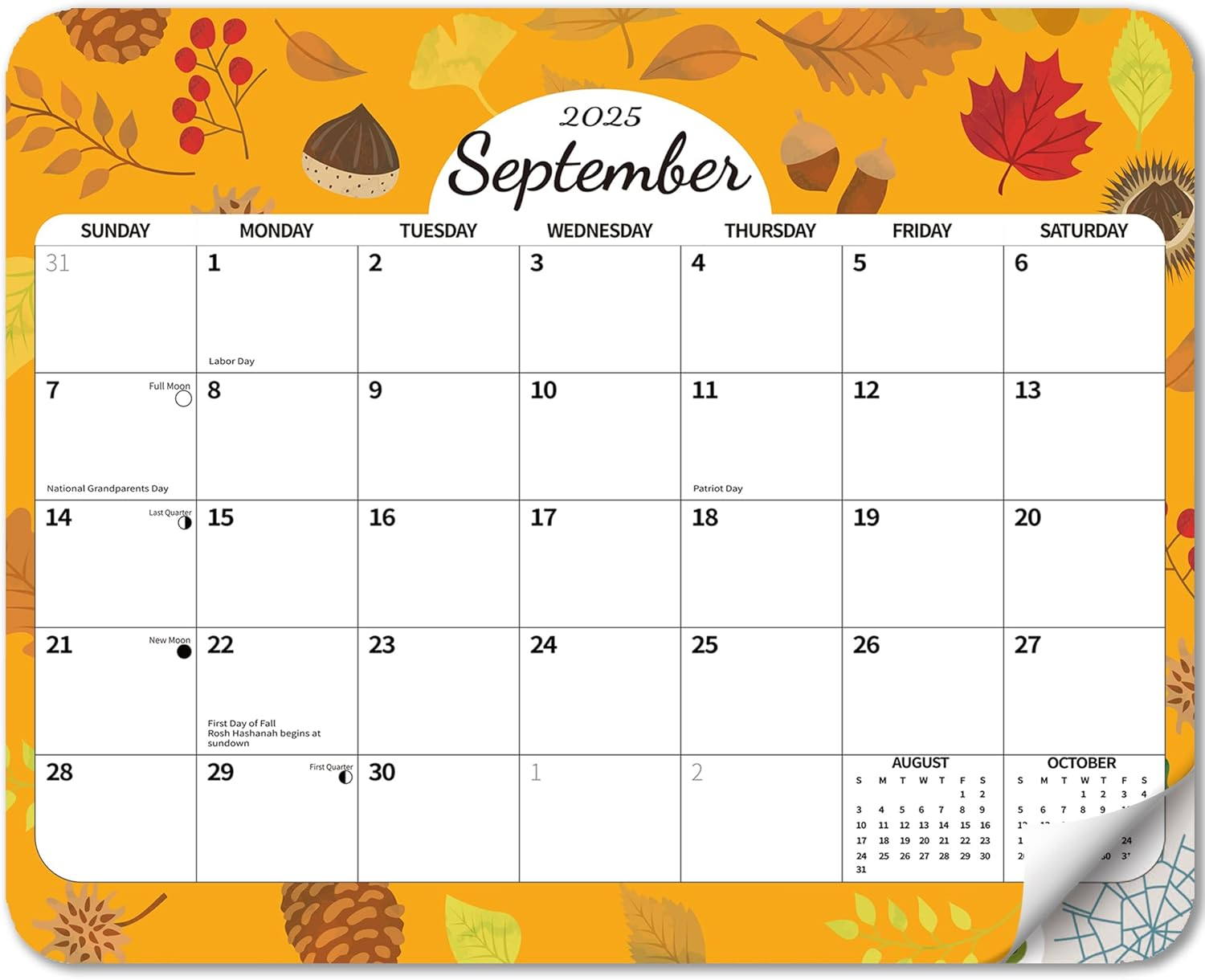 2026 Magnetic Calendar for Refrigerator, Fridge Wall Monthly Magnet Calendar from July 2025 to December 2026, 18 Month 8 X 10 Inch Planner Easy Organization, Aesthetic Decor for Home