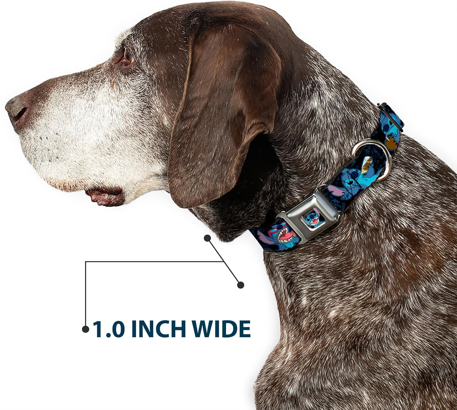 Buckle-Down Seatbelt Buckle Dog Collar - Stitch Snacking Poses Black/Blue - 1" Wide - Fits 15-26" Neck - Large image number 6