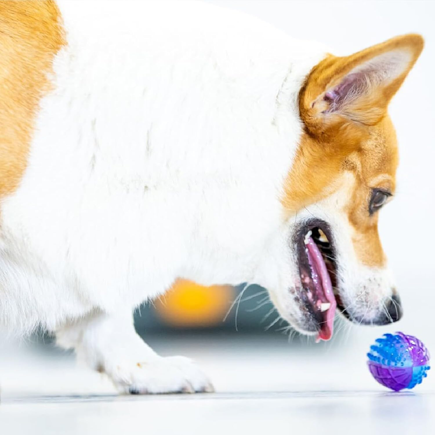 Gigwi Puppy Rugby Ball Purple Blue image number 5