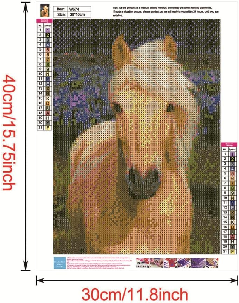 Diamond Painting Kits with Tools, Meecaa Horse Animal DIY 5D Full Drill Cross Stitch Diamond Mosaic Art Crafts 30X40Cm (Horse) image number 3