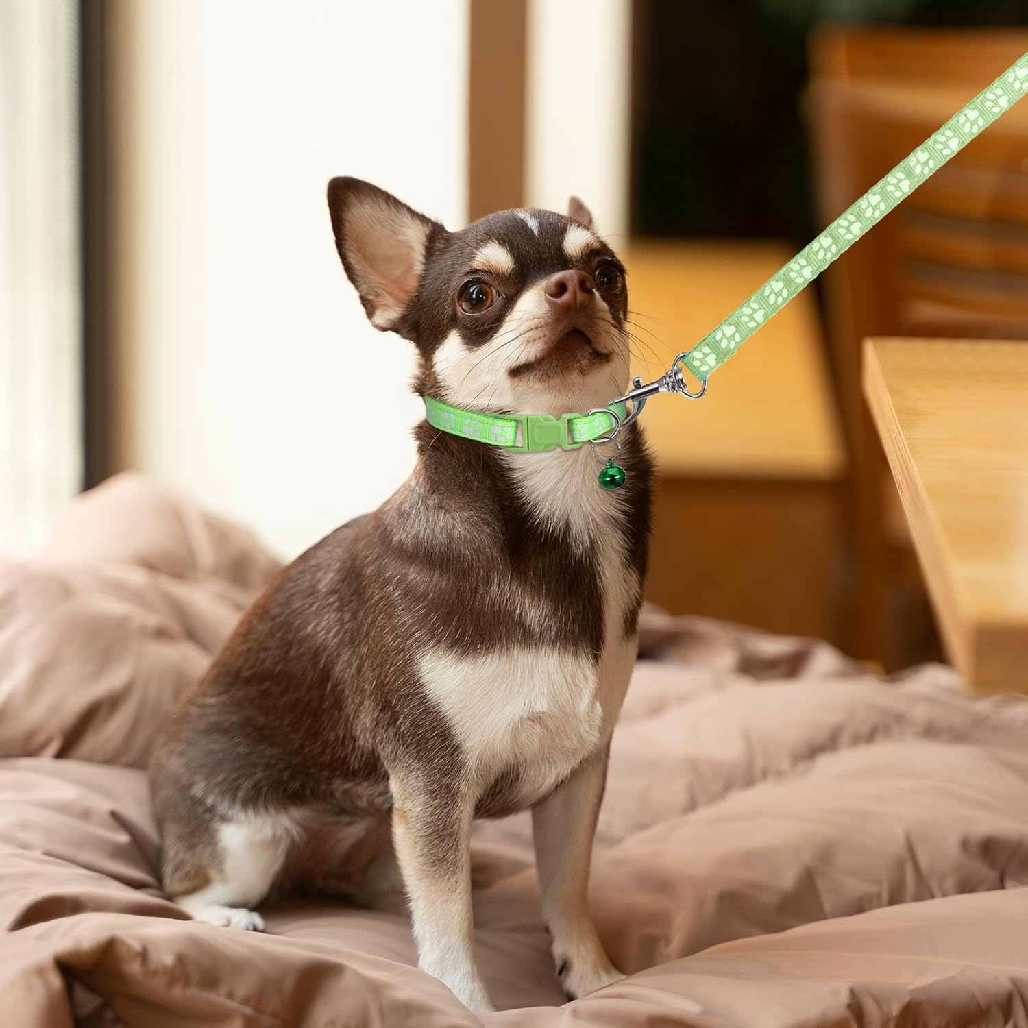 3 Pack Puppy Collar and Leash Dog Collar and Leash for Small Dogs Pet Cat Kitten Collar and Leashes Adjustable Training Rope Quick Release Paw Print Soft Nylon Pet Collar image number 1